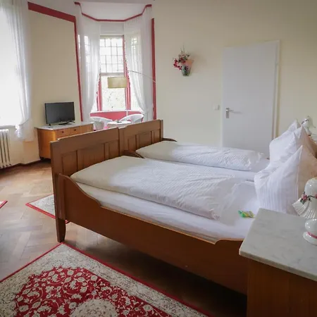 Guest house Kurvilla Am Park 3*